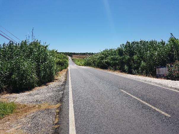 Kenya Green Roads
