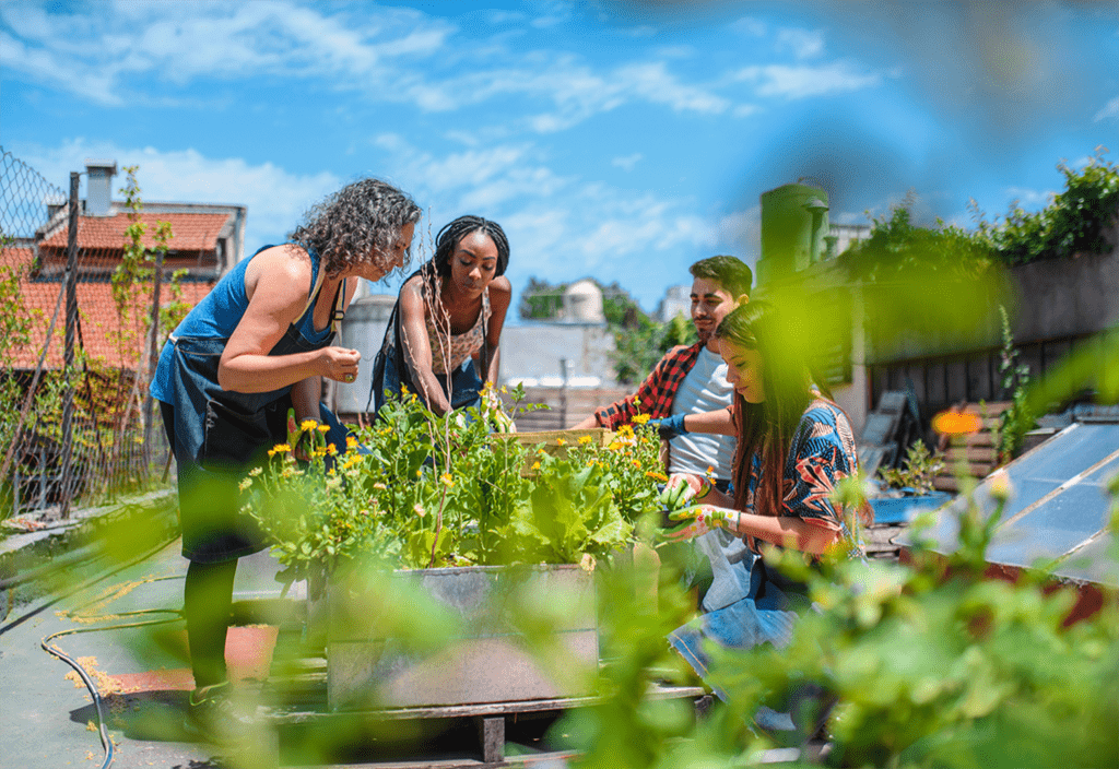 Community Garden