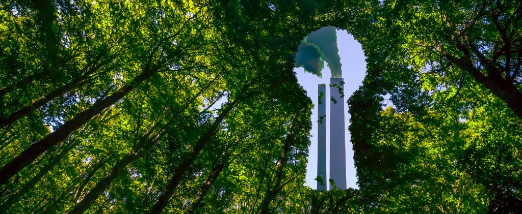 greenwashing-image