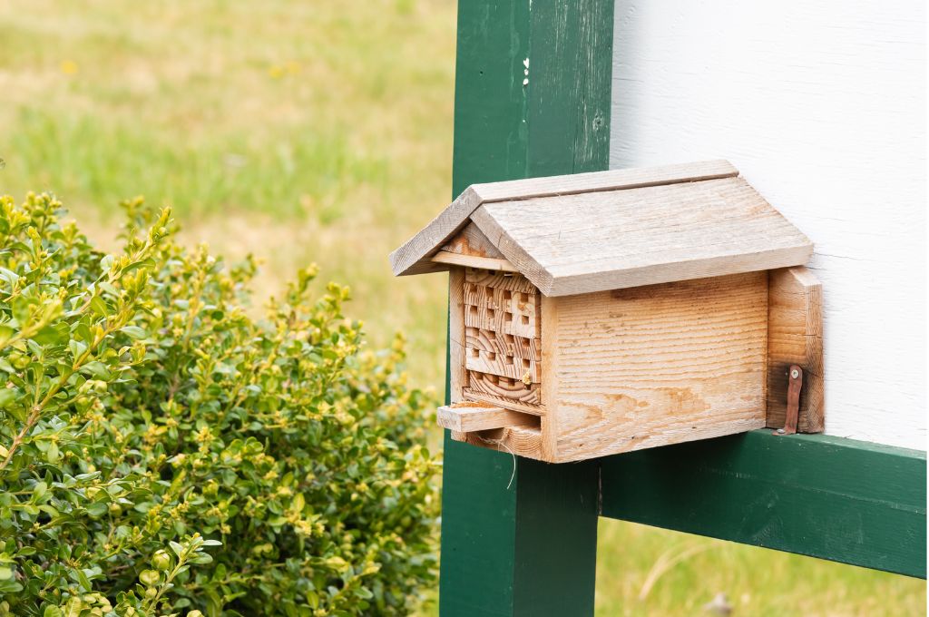 bee box habitat eco friendly student projects