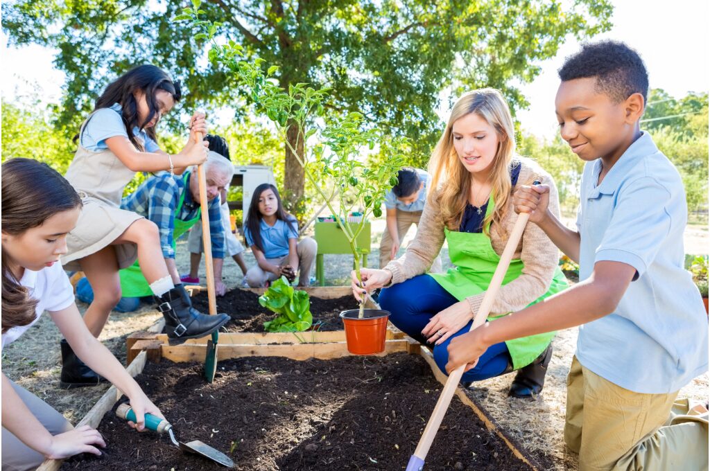eco friendly student projects feature image