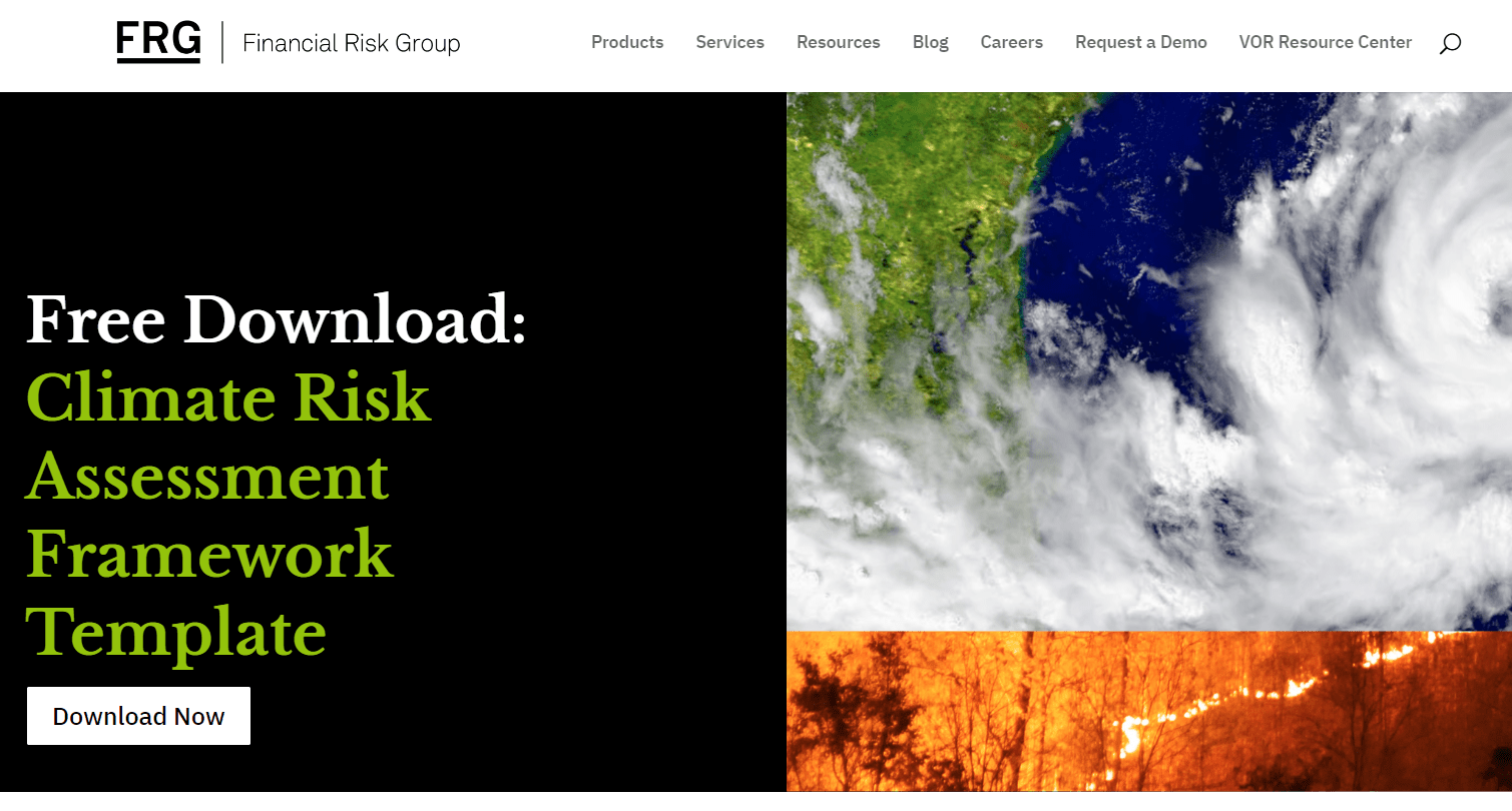 FRG Risk template