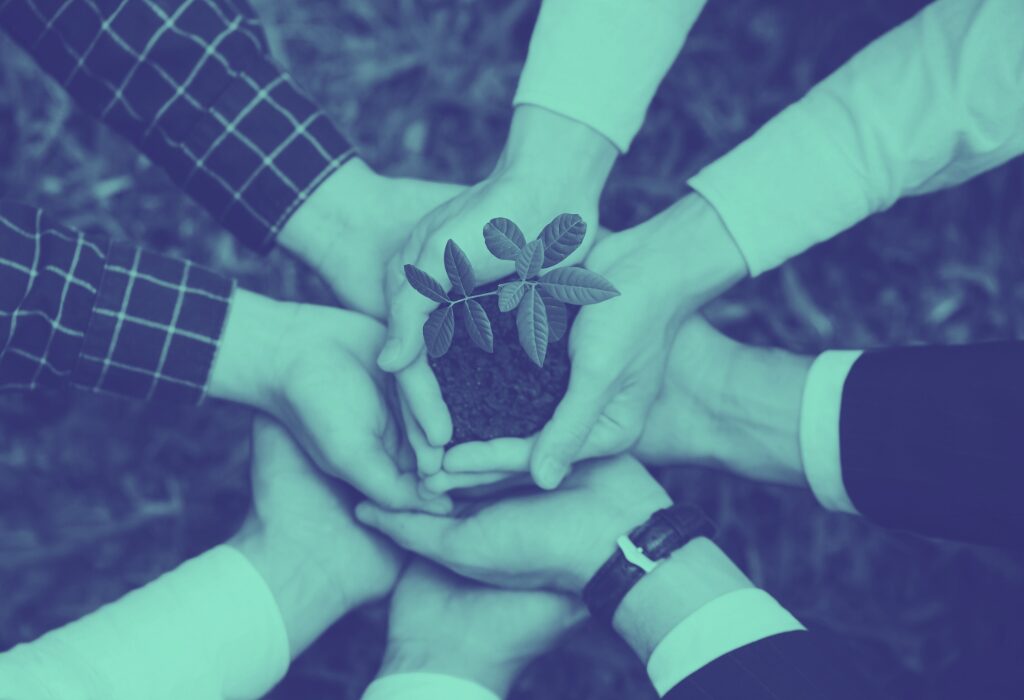many hands holding a growing plant