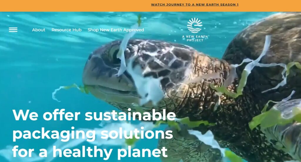 a new earth project homepage