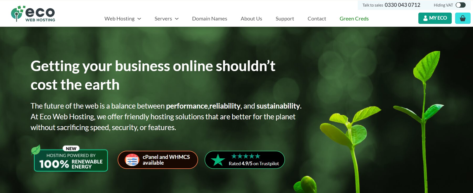 eco web hosting homepage
