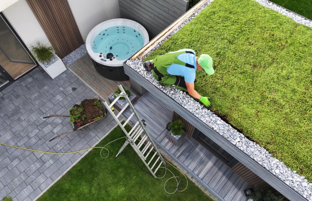 green roof