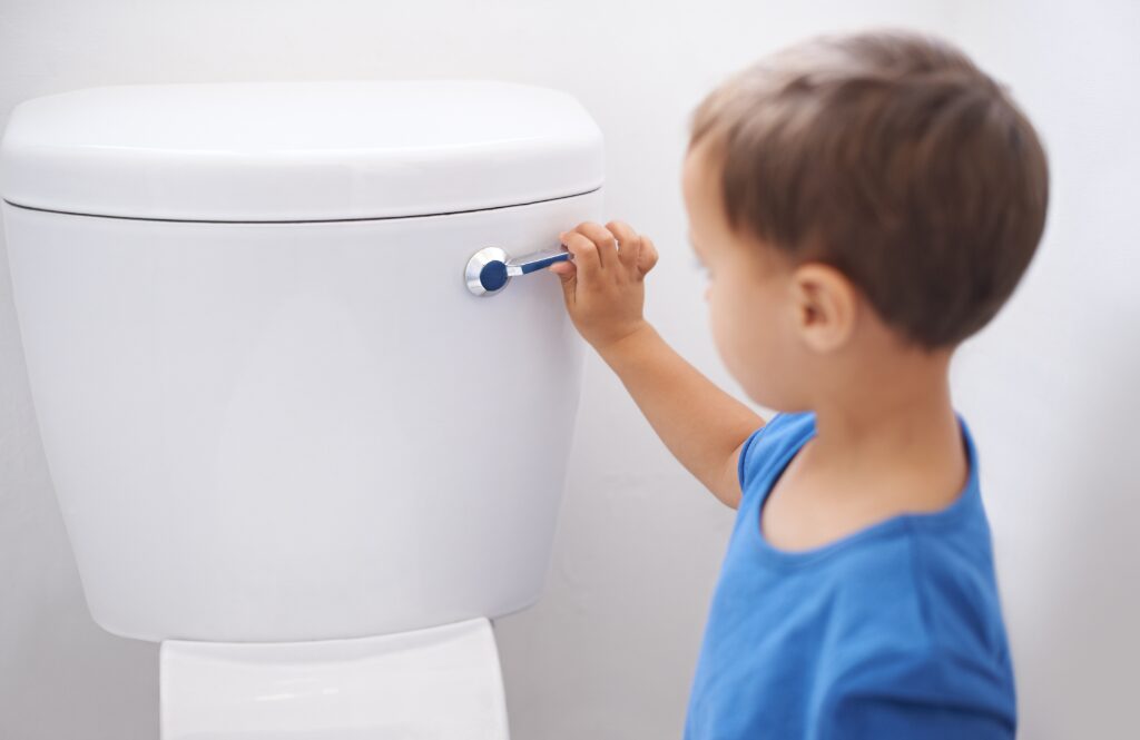 low flow toilet water waste
