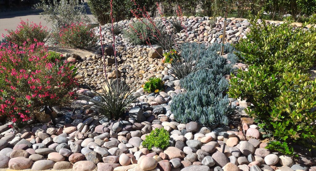 xeriscape combats water waste