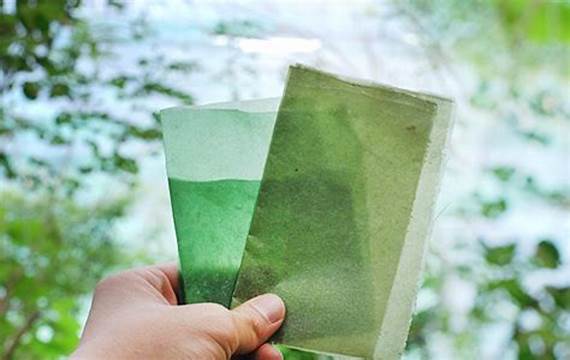 Algae based packaging