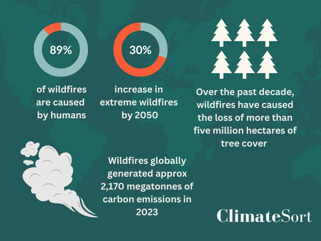 Climatesort Wildfire Facts