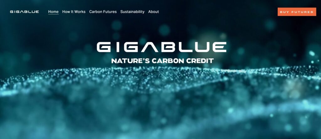 gigablue homepage