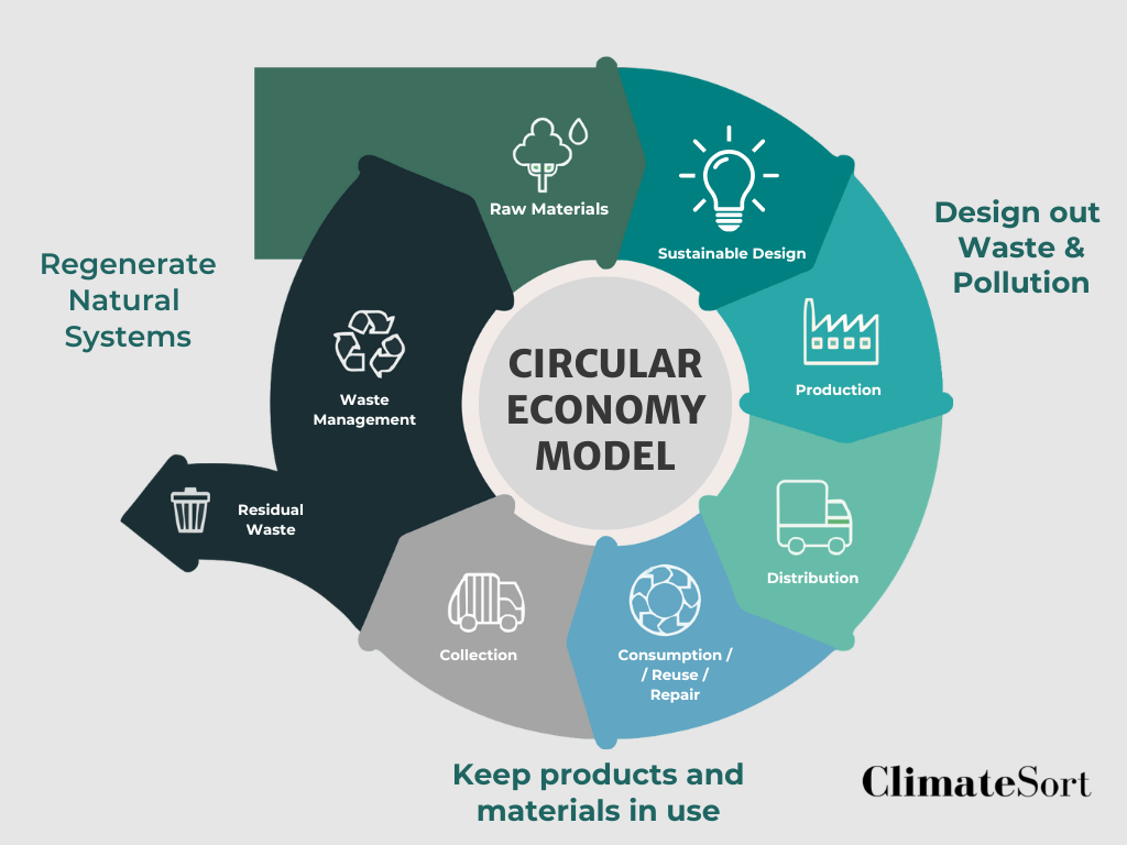 Circular Economy Consulting Infograph