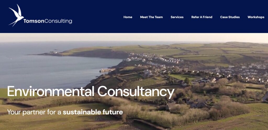 Tomson Consulting Homepage