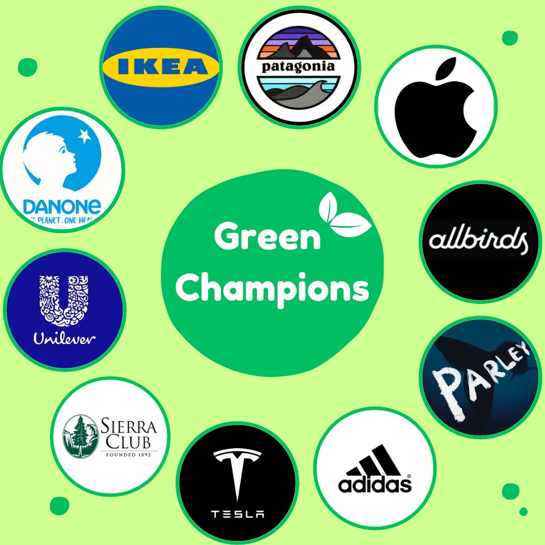 sustainability marketing strategies