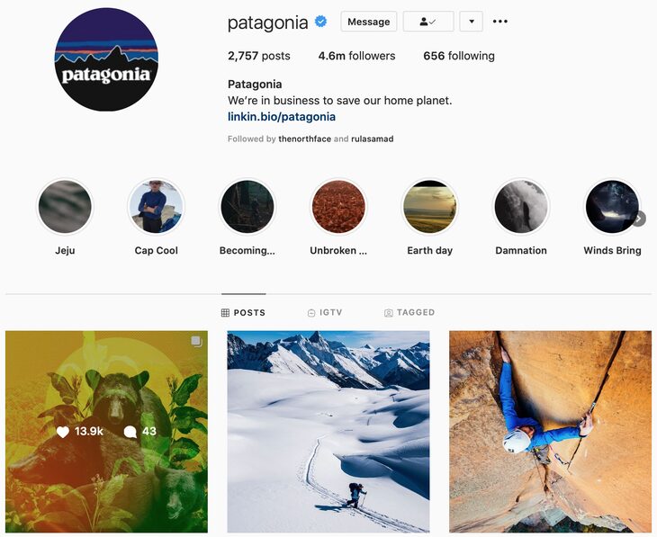 Patagonia social media
