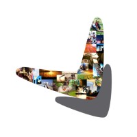 pegasys logo