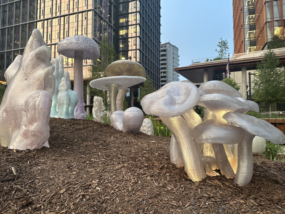 sustainable art - sssh
