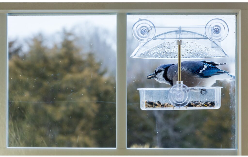 bird friendly glass decals