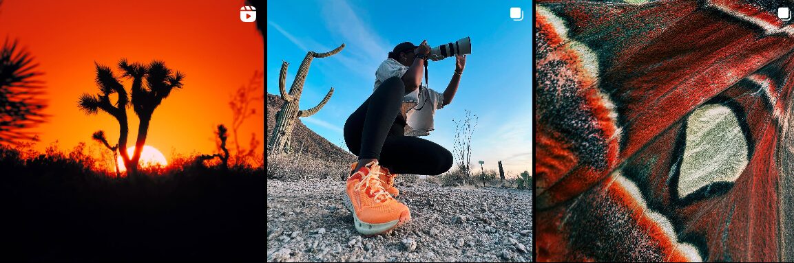 gina danza sustainbility influencer