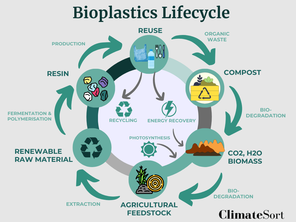 ClimateSort Biodegradable Plastics Lifecycle