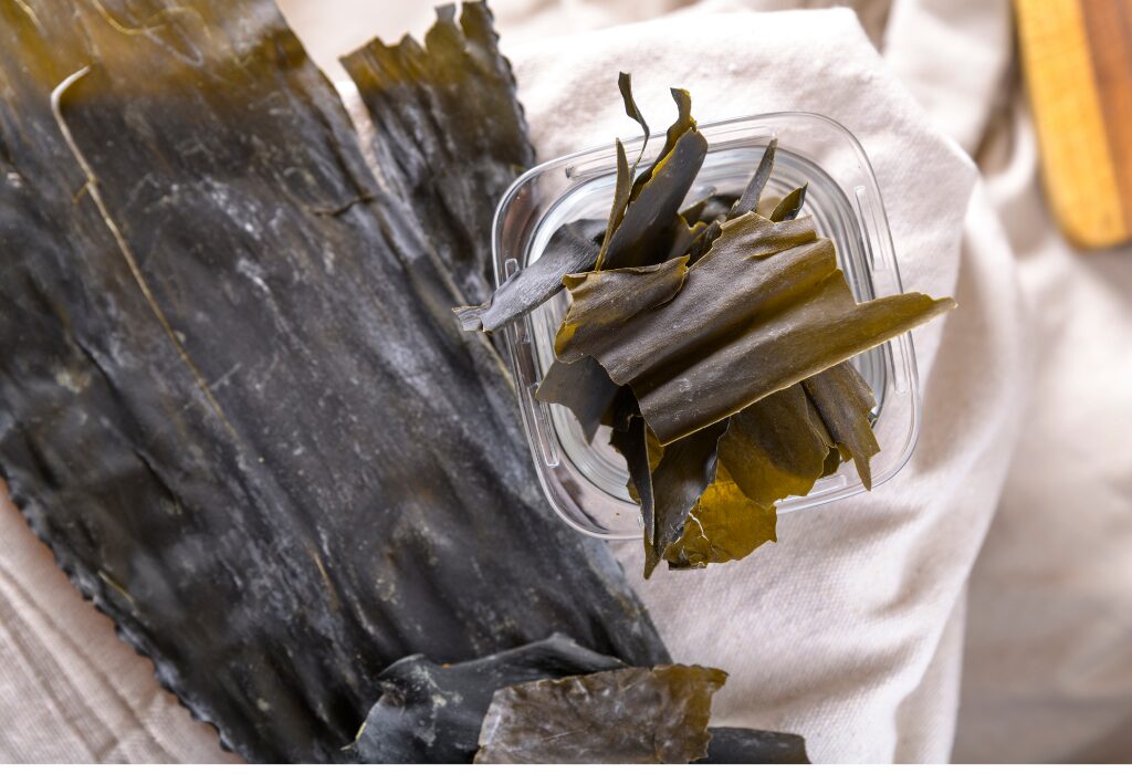 Biodegradable plastic suppliers- Kelp