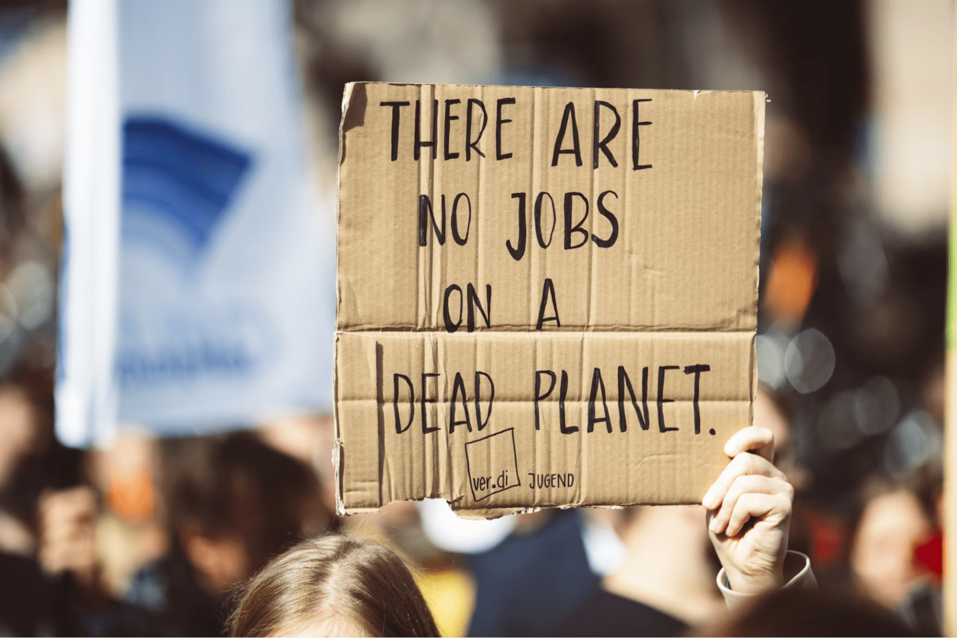 impact-driven-career - Climate Protest