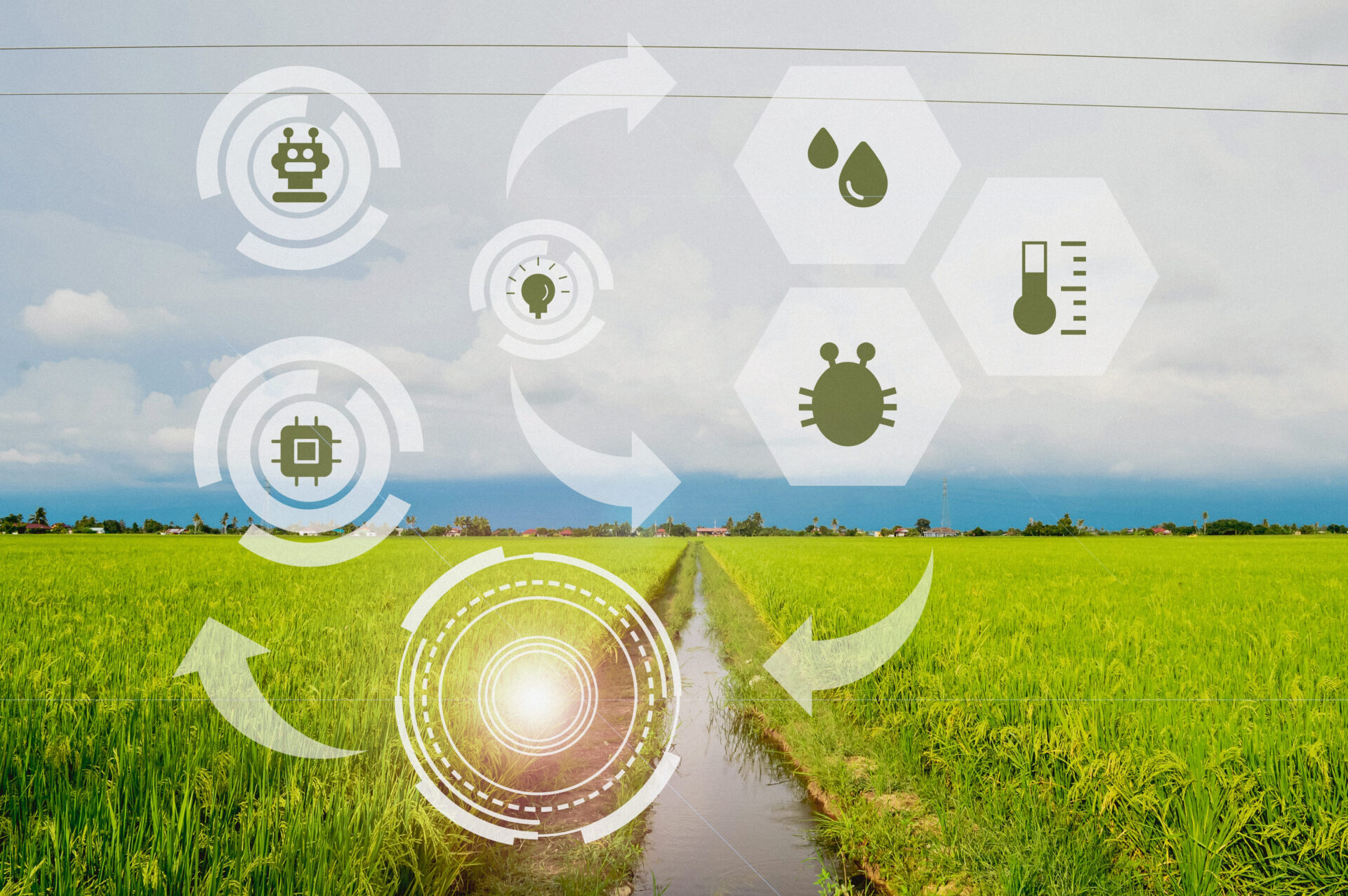 AI Innovations that Transform Agriculture 