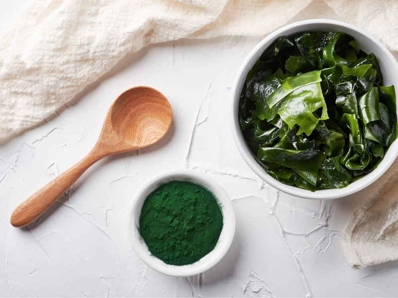 Algae Sustainable Textiles