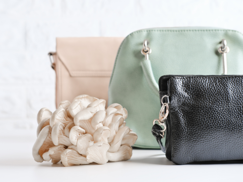 Mycelium Leather