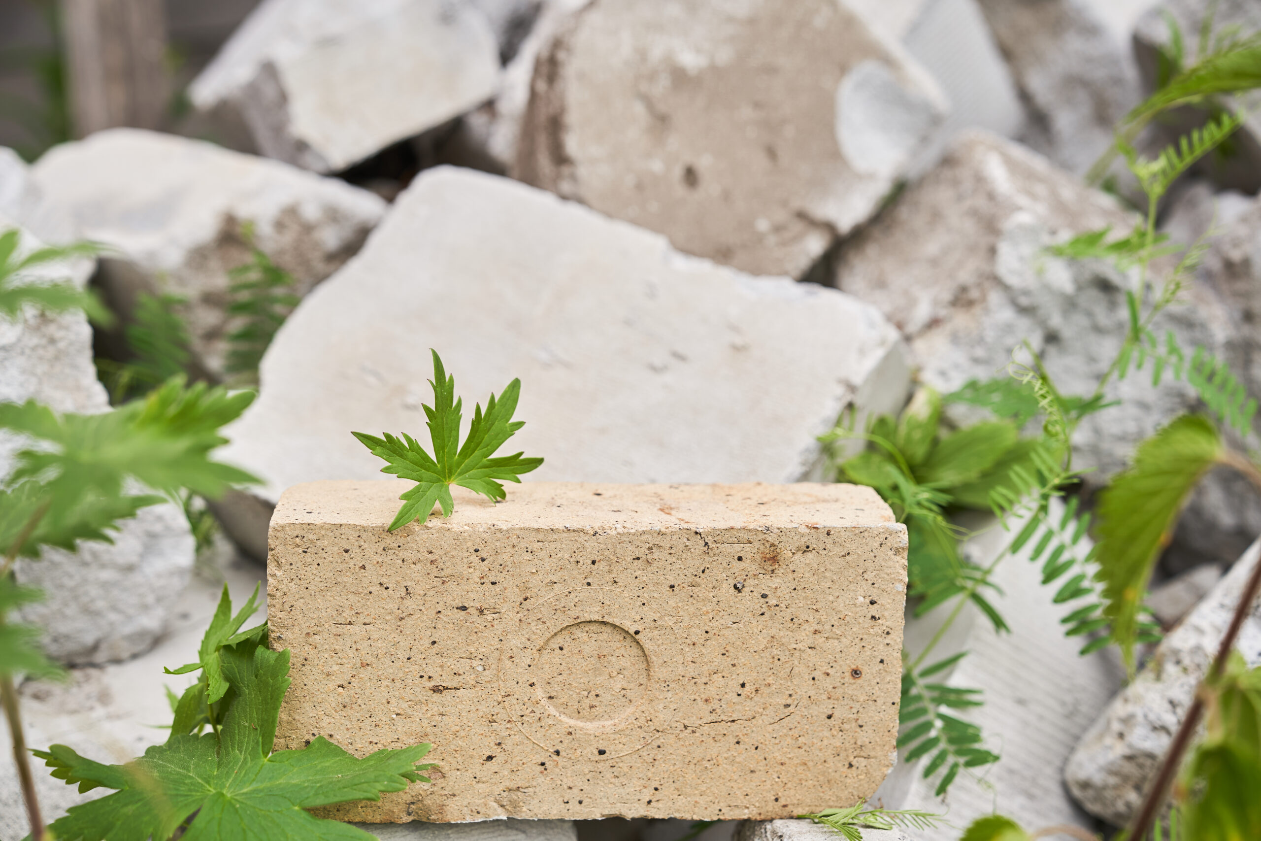 hempcrete bricks