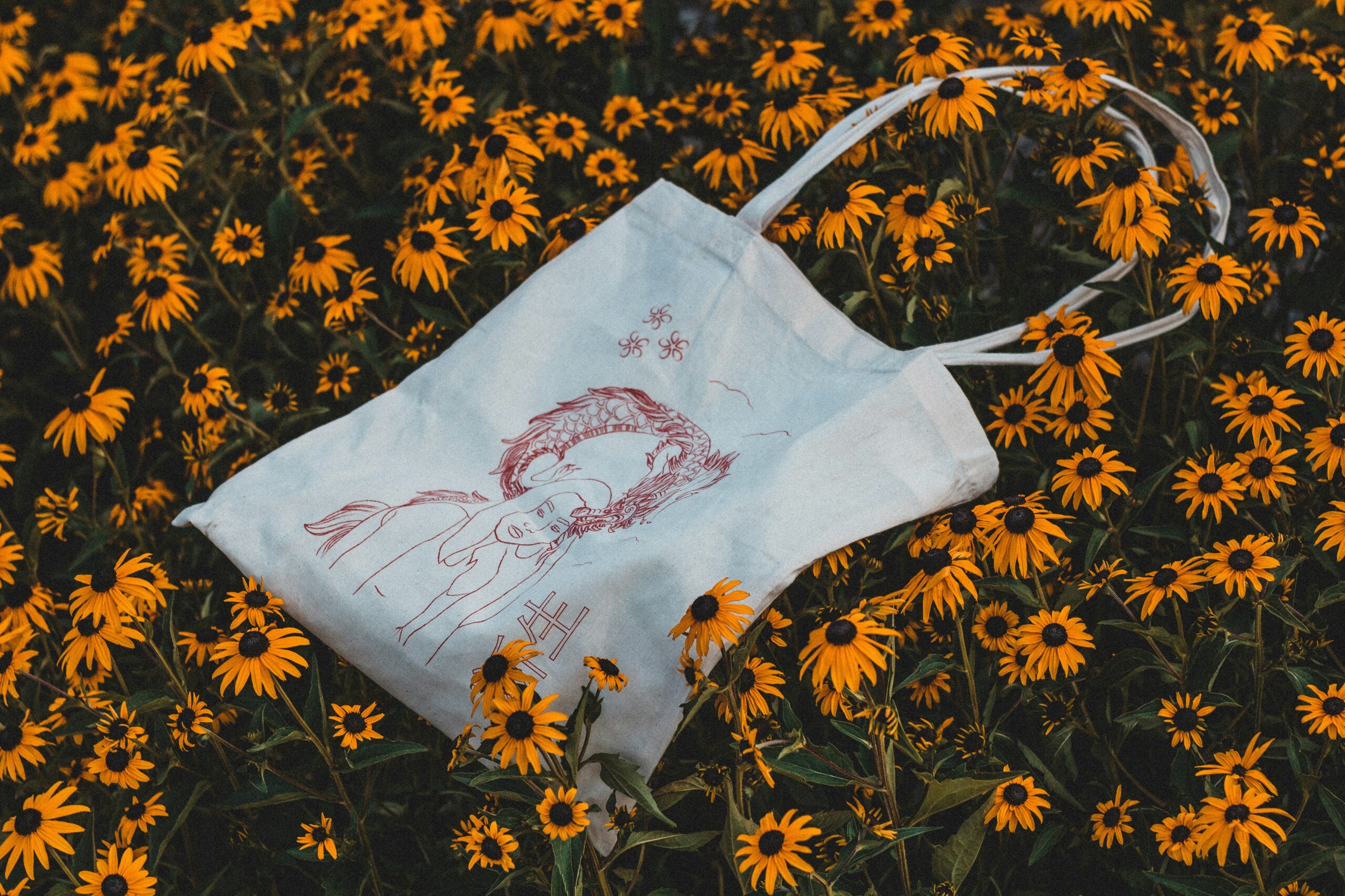 justin-buisson-unsplash-reusable-tote-bags