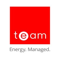 TEAM logo