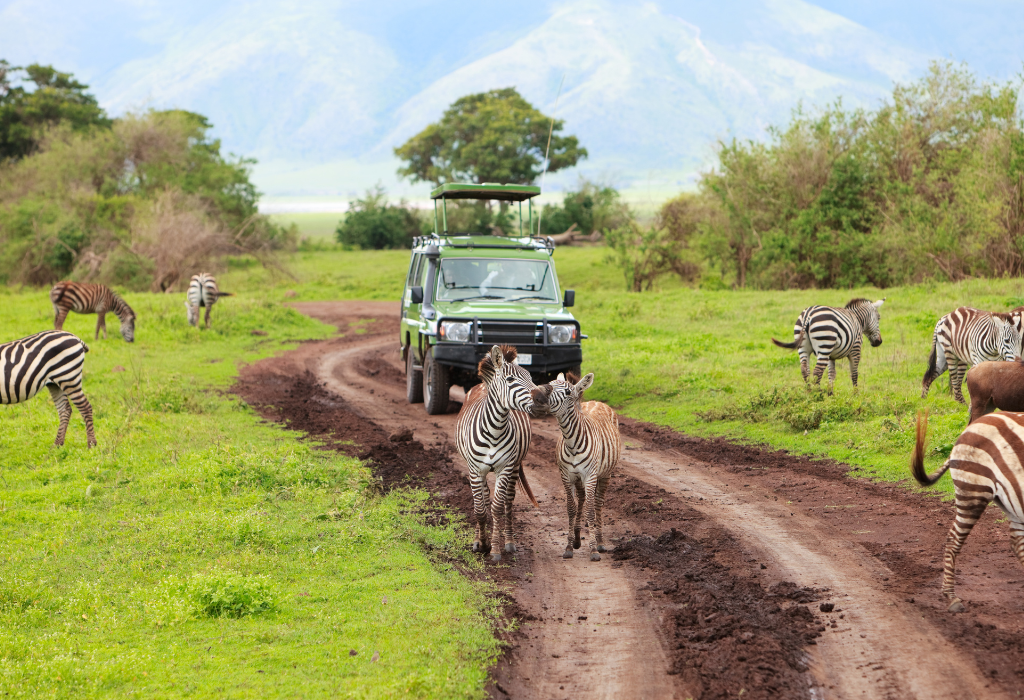protect local wildlife