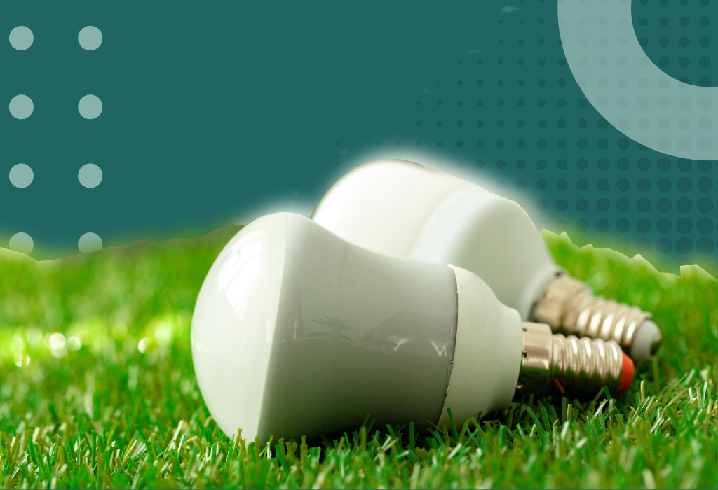 Climatesort Feature Image Sustainable Lighting Options