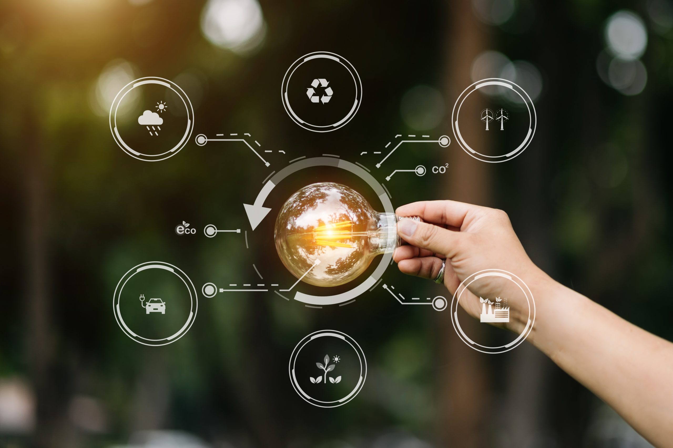high-quality photograph of a person's hand holding a glowing, vintage-style light bulb against a soft, blurred background of green foliage. Superimposed over the light bulb is a digital white infographic representing a circular economy and sustainability.The central graphic is a circular arrow surrounding the bulb, connected to various thin-line icons in circular frames, including: A recycling symbol. Wind turbines representing renewable energy. A factory with a leaf, signifying sustainable manufacturing. A sprouting plant for environmental growth. An electric car with a plug. A cloud with rain and sun, representing climate monitoring. Small text labels like "eco" and "CO2" are also integrated into the data-driven design