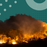 Climatesort post-fire assessment