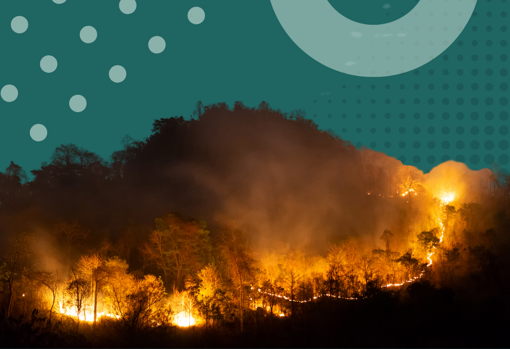 Climatesort post-fire assessment